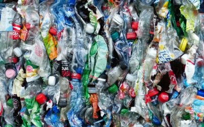 Vědci objevili materiál, který by mohl vyřešit problém s plasty