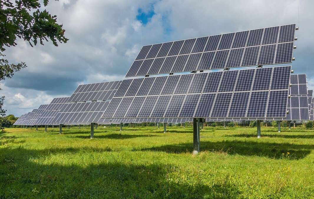 Mrtvé solární panely končí na skládkách a zamořují přírodu